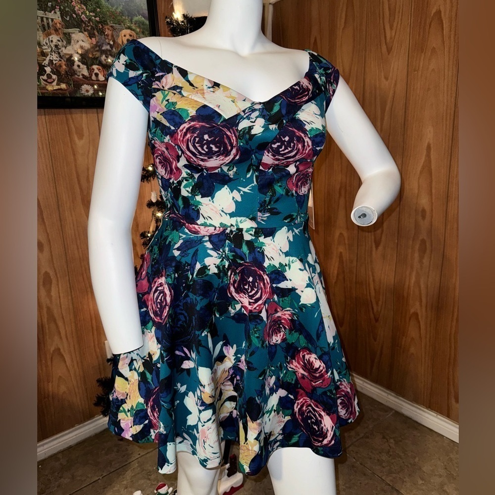 Beautiful floral dress by Emerald Sundae‎ L